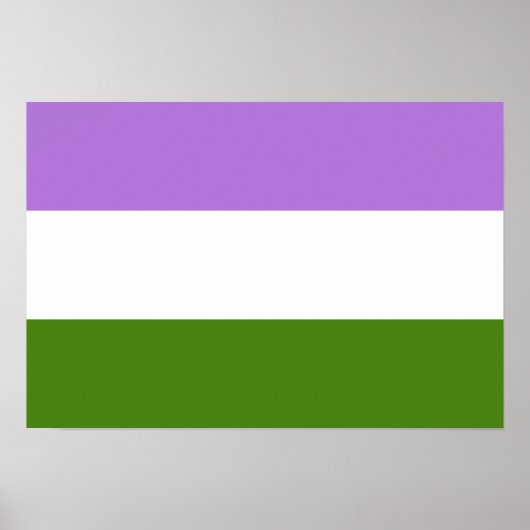Genderqueer Pride flag Poster (Voorkant)