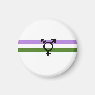 Genderqueer Pride Vlag Magneet