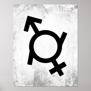 Gendervloeibaar Vrouw en mannelijk gendersymbool Poster