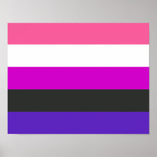 Gendervloeide Pride Flag Poster
