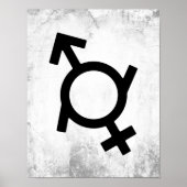 Gendervloeiend gendersymbool poster (Voorkant)