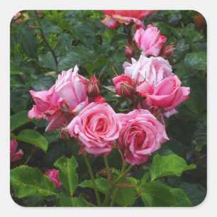 Gene Boerner Roos #1 Sticker