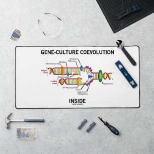 Gene-cultuur-coevolutie in DNA-replicatie Bureaumat