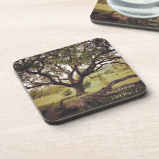 Généalogistes Love Trees Dessous de verre ensemble