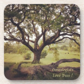 Généalogistes Love Trees Dessous de verre ensemble (Devant)