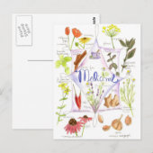 Geneeskrachtig kruid Echinacea Knoflookpapaver Briefkaart (Voorkant / Achterkant)