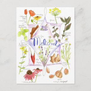 Geneeskrachtig kruid Echinacea Knoflookpapaver Briefkaart