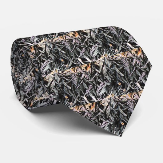 Geneesmiddel onder een microscoop, Nystatin Stropdas (Opgerold)