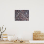 GENEESMIDDEL VAN HET CORAL REEF POSTER (Keuken)