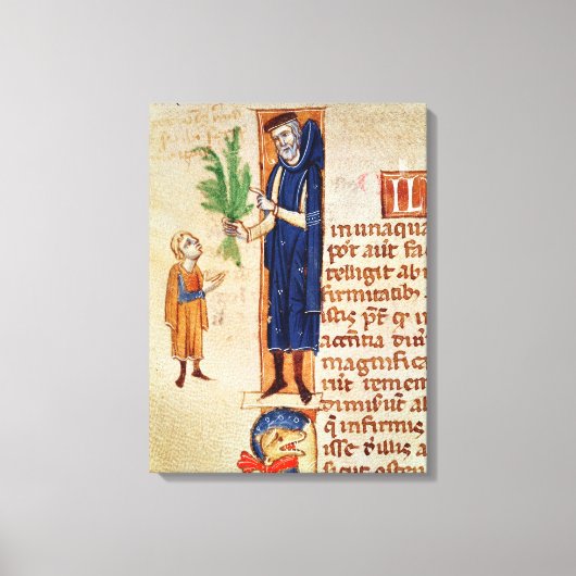 Geneesmiddelen Planten Canvas Afdruk (Voorkant)