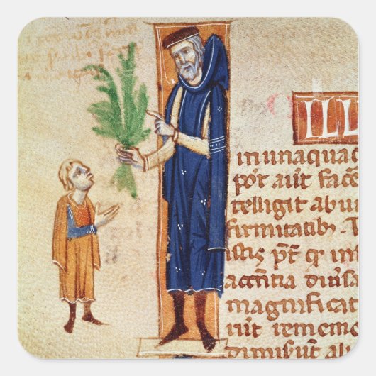 Geneesmiddelen Planten Vierkante Sticker (Voorkant)