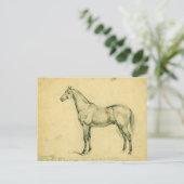 Generaal Grant's War Horse Briefkaart (Staand voorkant)