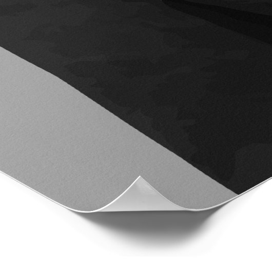 Generaal Jimmy Doolittle Poster (Hoek)