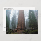 Generaal Sherman Tree, Sequoia, CA Briefkaart (Voorkant / Achterkant)