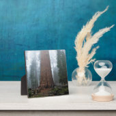 Generaal Sherman Tree, Sequoia, CA Fotoplaat (Insitu)