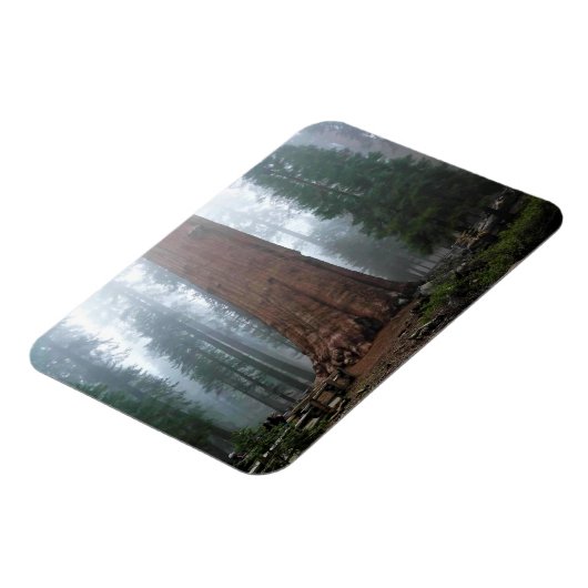 Generaal Sherman Tree, Sequoia, CA Magneet (Linkerzijde)