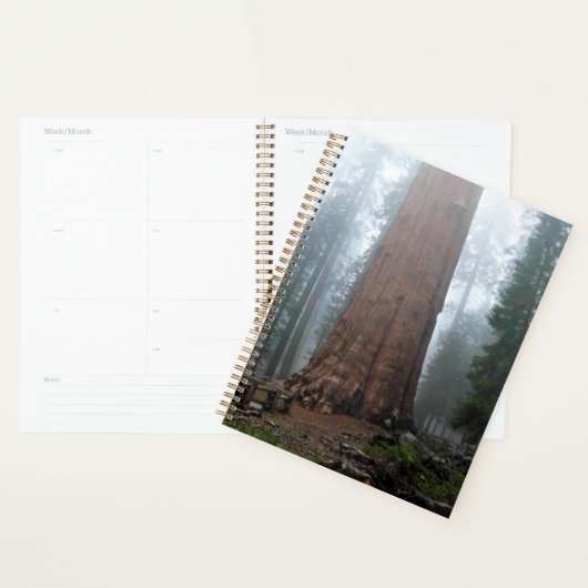 Général Sherman Tree, Sequoia, CA (Devant avec enveloppe)