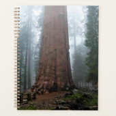Général Sherman Tree, Sequoia, CA (Devant)