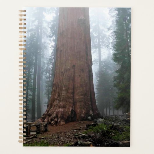 Général Sherman Tree, Sequoia, CA (Devant)