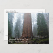 Général Sherman Tree, Sequoia, CA Carte postale (Devant / Derrière)