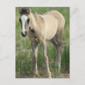 Generaties Briefkaart (Voorkant)