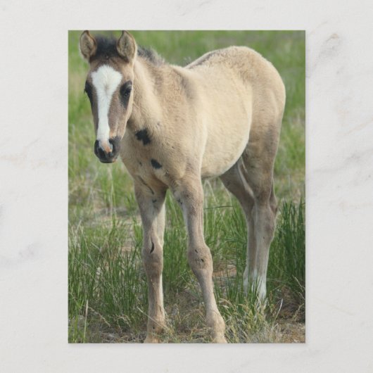 Generaties Briefkaart (Voorkant)