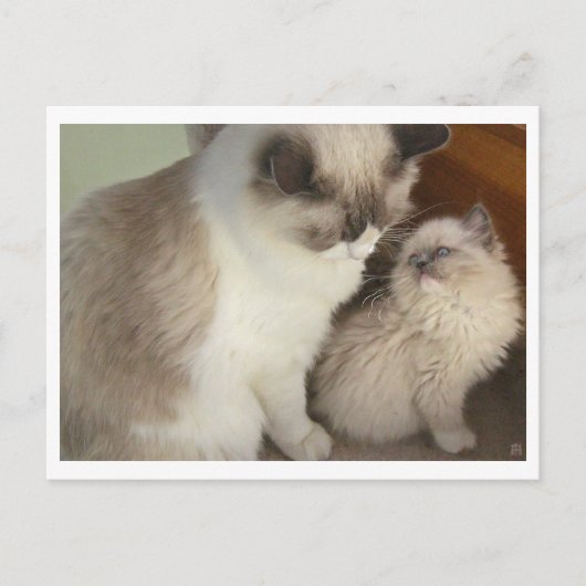 Generaties Briefkaart (Voorkant)