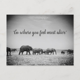 Generaties van Wenskaart Elephants Briefkaart