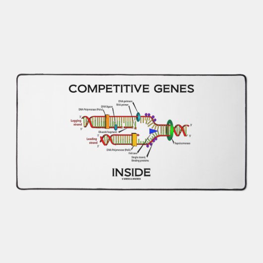 Gènes compétitifs dans l'Humour de réplication de (Recto)