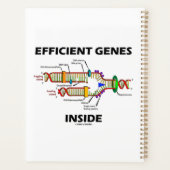 Gènes efficaces dans l'Humour de réplication de l' (Dos)