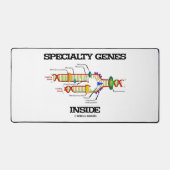 Gènes spécialisés dans la réplication de l'ADN (Recto)