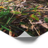 Genèse 27:3 avec Poster de Buck récolté (Coin)