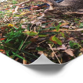 Genèse 27:3 Buck Poster (Coin)