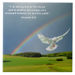 GENESIS 9:13 TEGELTJE