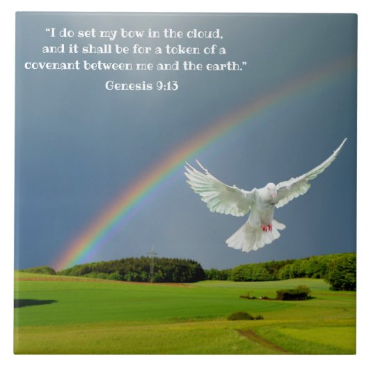 GENESIS 9:13 TEGELTJE (Voorkant)