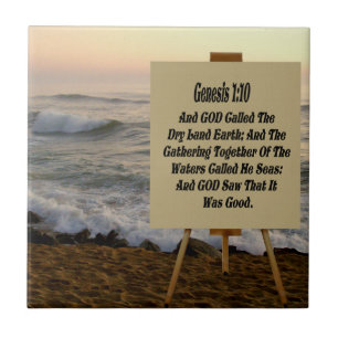 GENESIS-TILE TEGELTJE