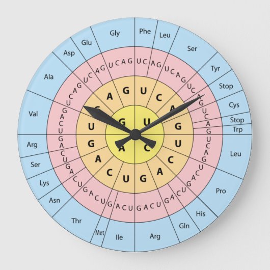 Genetische code grote klok (Voorkant)