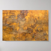 Genetische code poster (Voorkant)