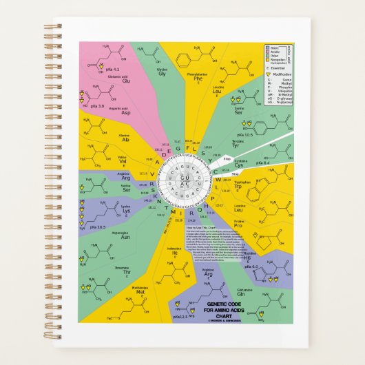 Genetische code voor Aminozuren Planner (Voorkant)