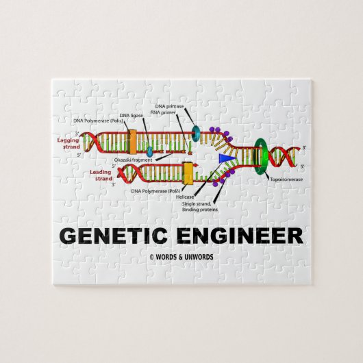 Genetische DNA-replicatie van Engineer Legpuzzel (Horizontaal)