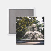 Genève Anglais Aimant Fontaine Jardin (Recto/Verso)