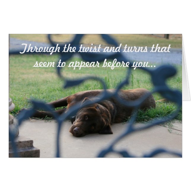 genezing (Voorkant Horizontaal)