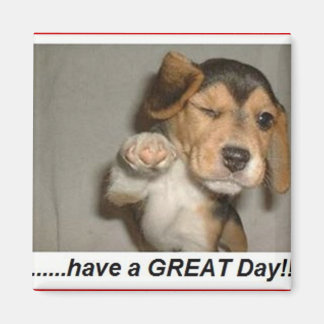 Geniet van dagmagneet magneet