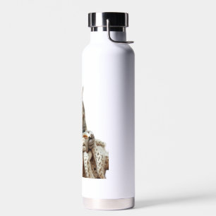 Geniet van de Cat Winter Tea Waterfles