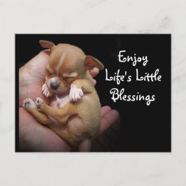 Geniet van de kleine zegeningen van het leven briefkaart