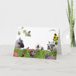 Geniet van de overvloed aan aarde :HappyThanksgivi Feestdagen Kaart