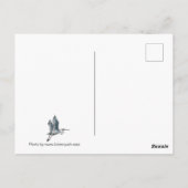 Geniet van het Day Lake Briefkaart (Achterkant)