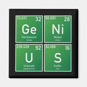Genius PSEv Magneet