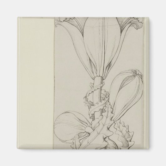 Genius van de Lelie, 1809 Magneet (Voorkant)