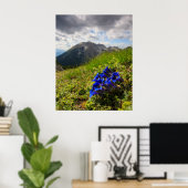 Gentiaanse bloemen en bergen van Clusius Poster (Thuiskantoor)